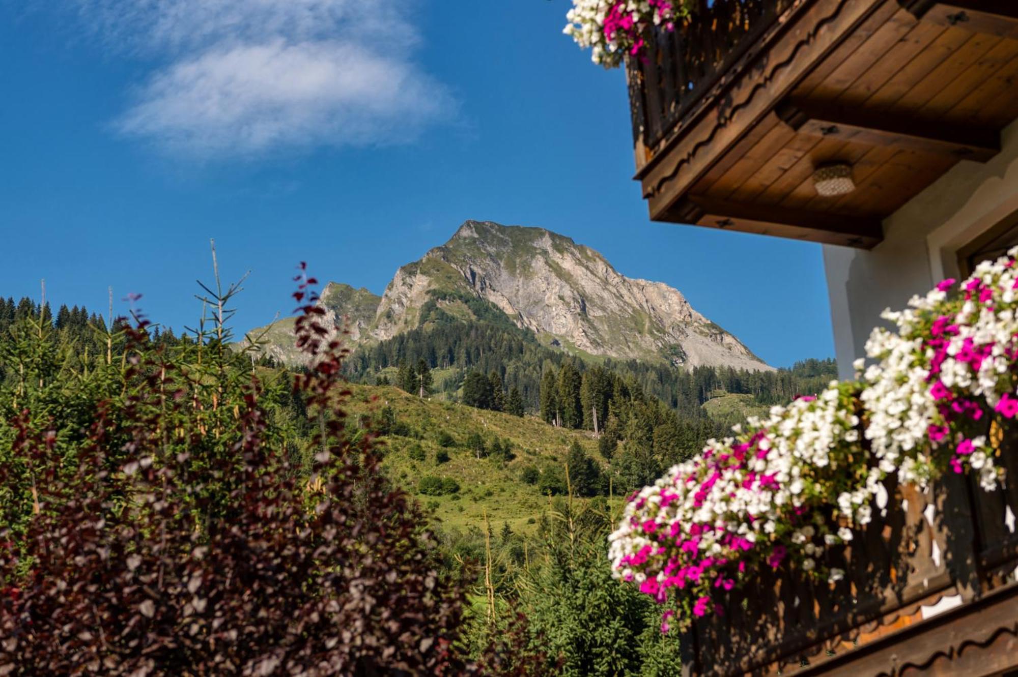 Bauernhofhotel "Die Unterbergerin" - Zimmer Mit Fruehstueck Und Ferienwohnungen In Gastein Mit Gratis Thermeneintritt Dorfgastein Exterior foto