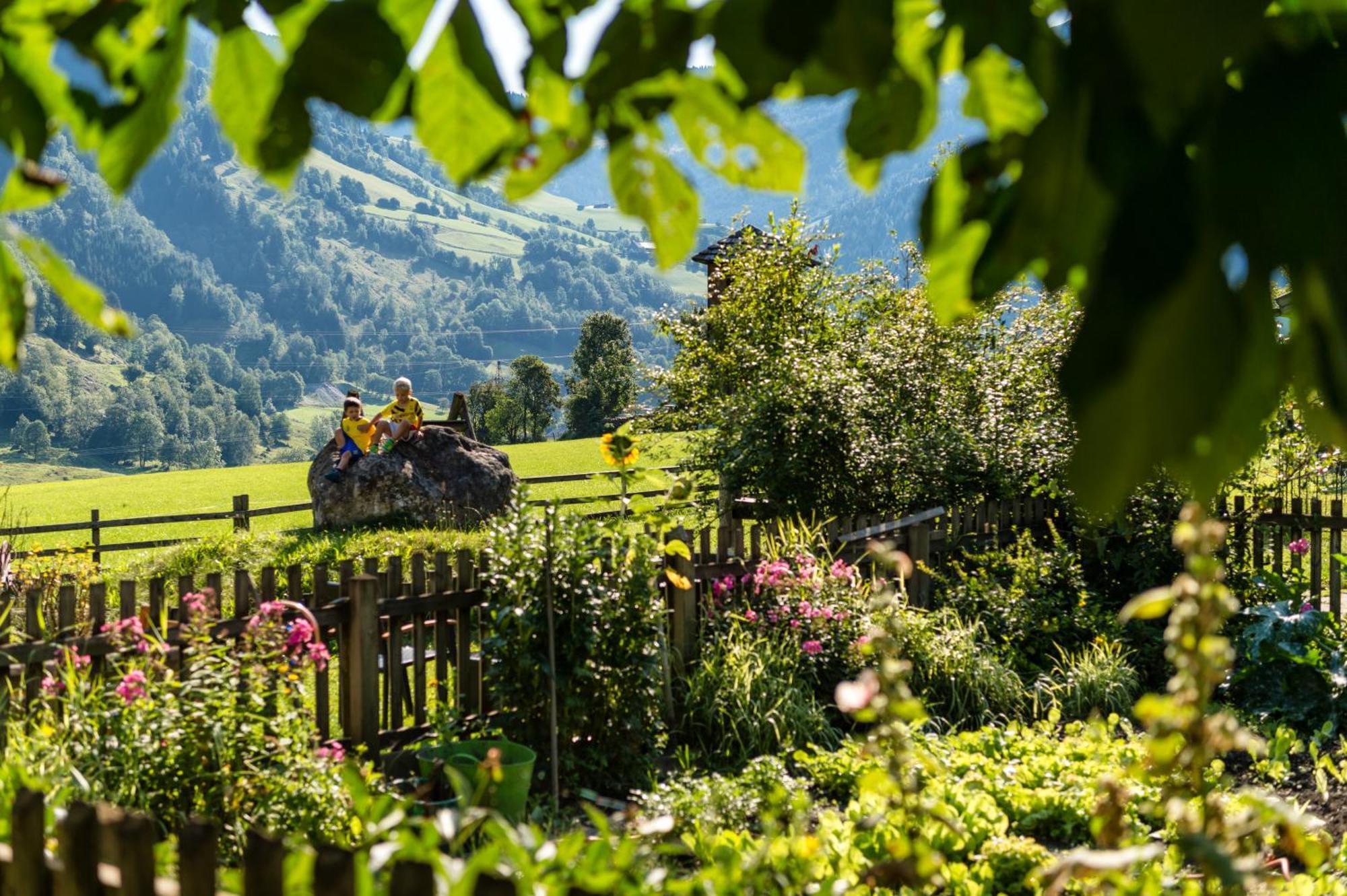 Bauernhofhotel "Die Unterbergerin" - Zimmer Mit Fruehstueck Und Ferienwohnungen In Gastein Mit Gratis Thermeneintritt Dorfgastein Exterior foto