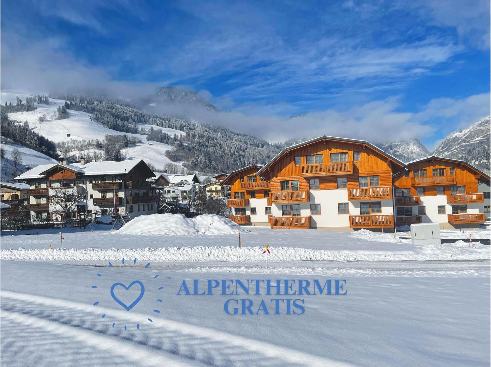 Bauernhofhotel "Die Unterbergerin" - Zimmer Mit Fruehstueck Und Ferienwohnungen In Gastein Mit Gratis Thermeneintritt Dorfgastein Exterior foto