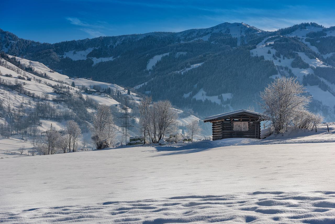 Bauernhofhotel "Die Unterbergerin" - Zimmer Mit Fruehstueck Und Ferienwohnungen In Gastein Mit Gratis Thermeneintritt Dorfgastein Exterior foto