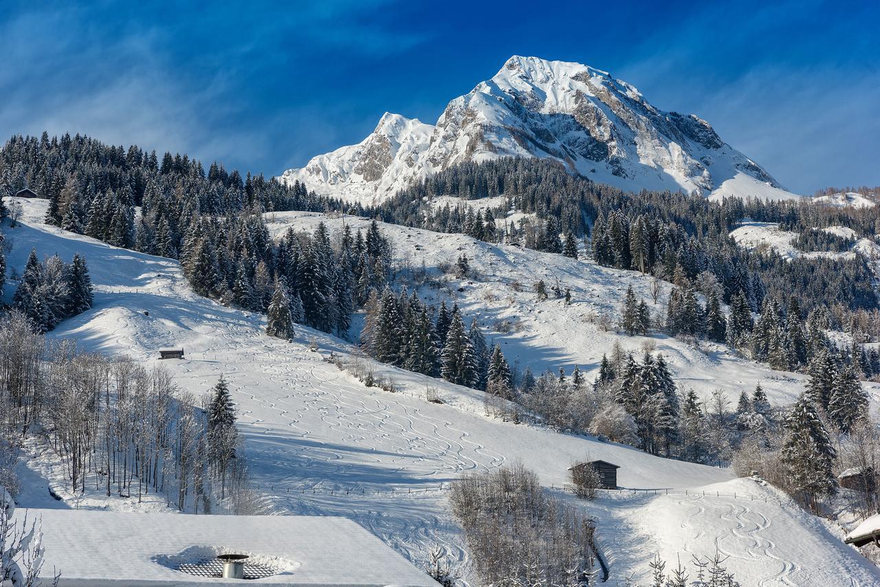 Bauernhofhotel "Die Unterbergerin" - Zimmer Mit Fruehstueck Und Ferienwohnungen In Gastein Mit Gratis Thermeneintritt Dorfgastein Exterior foto